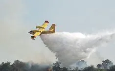 Brucia la macchia mediterranea: il vento spinge il rogo, decisivo l'intervento del Canadair