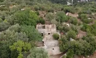 La morte di John, segni di corda sul collo: era membro della &ldquo;comunit&agrave; del bosco&rdquo;