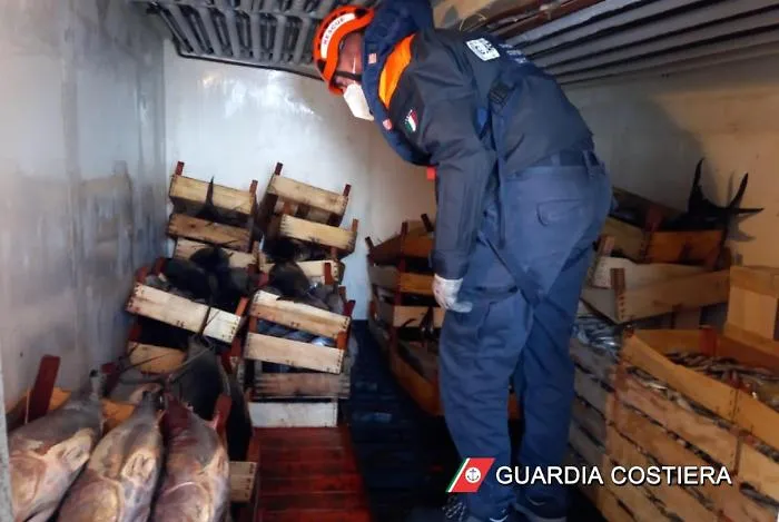 Sequestrata a Siracusa una tonnellata di tonno rosso senza tracciabilit&agrave;: multa di 2.666 euro e pesce donato in beneficenza